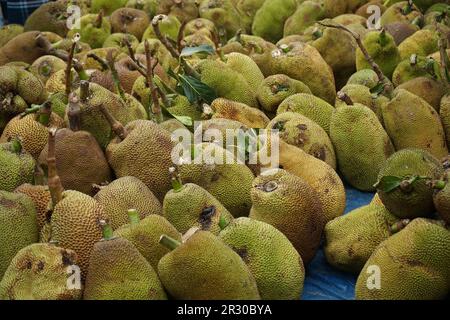 Sylhet, Sylhet, Bangladesh. 22nd maggio, 2023. Il frutto nazionale del Bangladesh, frutto della sciacata, viene scaricato dal camion e messo in vendita. I Jackfruits sono portati al mercato all'ingrosso della frutta di Sylhet dai camion dalle parti differenti del paese. Il commercio al dettaglio e all'ingrosso sono venduti da qui. Kadmatali, Sylhet. (Credit Image: © MD Akbar Ali/ZUMA Press Wire) SOLO PER USO EDITORIALE! Non per USO commerciale! Foto Stock