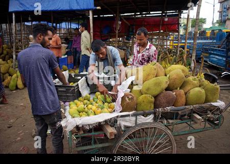 Sylhet, Sylhet, Bangladesh. 22nd maggio, 2023. Un rivenditore organizza mango e jackfruit in un furgone. Jackfruit e mango sono portati al mercato della frutta all'ingrosso di Sylhet da camion provenienti da diverse parti del paese. Il commercio al dettaglio e all'ingrosso sono venduti da qui. Kadmatali, Sylhet. (Credit Image: © MD Akbar Ali/ZUMA Press Wire) SOLO PER USO EDITORIALE! Non per USO commerciale! Foto Stock