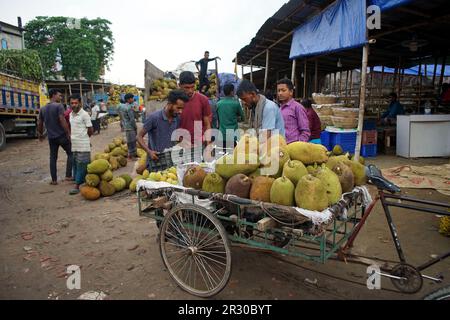 Sylhet, Sylhet, Bangladesh. 22nd maggio, 2023. Un rivenditore organizza mango e jackfruit in un furgone. Jackfruit e mango sono portati al mercato della frutta all'ingrosso di Sylhet da camion provenienti da diverse parti del paese. Il commercio al dettaglio e all'ingrosso sono venduti da qui. Kadmatali, Sylhet. (Credit Image: © MD Akbar Ali/ZUMA Press Wire) SOLO PER USO EDITORIALE! Non per USO commerciale! Foto Stock