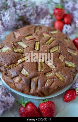 torta di rabarbaro al cioccolato fatta in casa su un tavolo Foto Stock