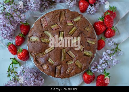torta di rabarbaro al cioccolato fatta in casa su un tavolo Foto Stock
