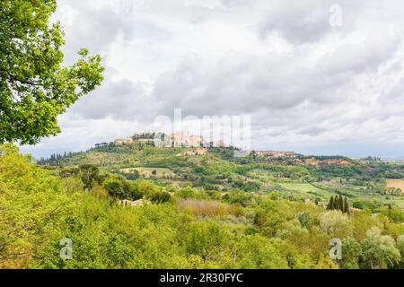 Tuscan view with an old village on a hill in the countryside Foto Stock