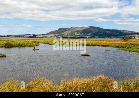 RSPB Loch Leven Nature Reserve, Kinross, Scozia Foto Stock