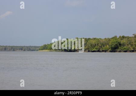 Sundarbans è un delta della foresta di paludi con una superficie di circa 10.200 kmq attraverso l'India e il Bangladesh. Questa foto è stata scattata dal Bangladesh. Foto Stock