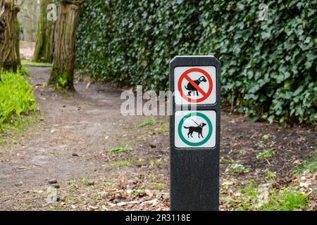 Cartello con pittogrammi per cani non autorizzati a defecare e cani devono essere al guinzaglio sul sentiero nel bosco, Hilversum, Paesi Bassi Foto Stock