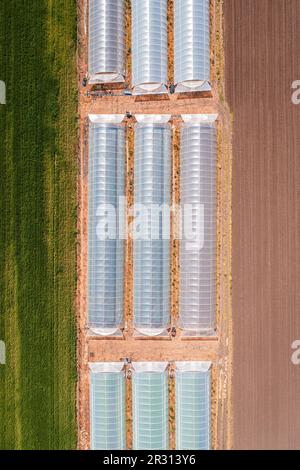 Ripresa aerea della serra agricola con teli in plastica in campo coltivato dal drone pov, vista ad angolo alto Foto Stock