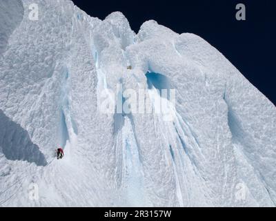 Un alpinista sale un fungo di neve, coronando la cima della cresta occidentale di Cerro Torre, durante la prima traversata di successo di tutte e quattro le cime del Gruppo Torre, in Argentino Foto Stock