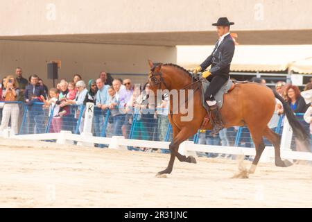 ROQUETAS DE MAR, SPAGNA - 21 MAGGIO 2023 dimostrazione di abilità di equitazione durante la gara di guida a cavallo spagnolo Foto Stock