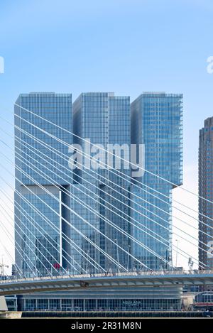 Rotterdam, Paesi Bassi - torri ad uso misto De Rotterdam di OMA, elevazione con cavi di sospensione Erasmus Bridge Foto Stock