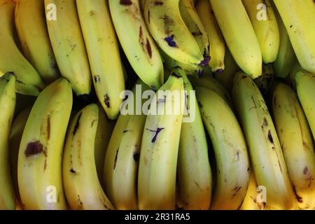 frutta a banana matura e matura pronta per la vendita Foto Stock