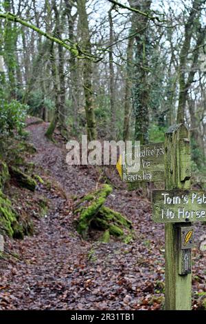 Firma posta a Snowdrop Valley nel freddo a Cutcombe Hill vicino Wheeddon Cross nel Parco Nazionale di Exmoor Foto Stock