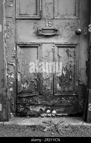 Porta anteriore e telaio della porta marciante di una casa vittoriana a Salisbury, Regno Unito. Foto Stock