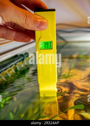 Maschio di mano azienda test PH di fronte all'acquario di acqua