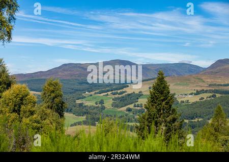 Guardando a nord-ovest dal Knock of Crieff verso ben chonzie, Perthshire, Scozia Foto Stock