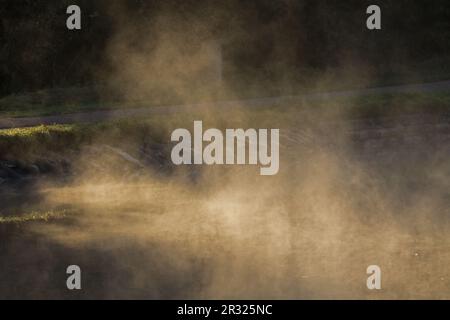 nebbia illuminata dal sole sulla riva del canale Foto Stock