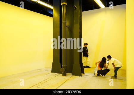 "Stanze dei corridoi dei neons" Bruce Nauman, artista, Fondazione Pirelli Hangar Bicocca, galleria d'arte contemporanea, Milano, Lombardia, Italia, Europa Foto Stock