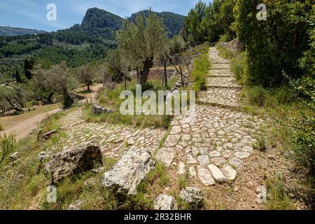 Camí des Monts-reials, valle de Soller Maiorca, isole Baleari, Spagna. Foto Stock