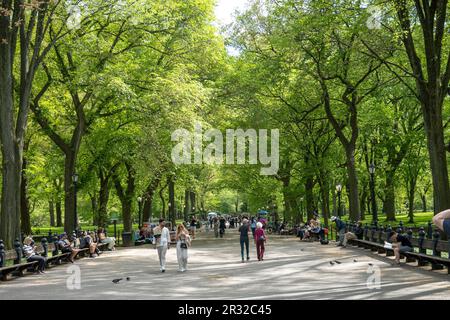 La passeggiata dei poeti a Central Park è popolare in tutte le stagioni, New York City, USA 2023 Foto Stock
