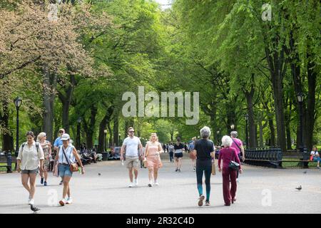 La passeggiata dei poeti a Central Park è popolare in tutte le stagioni, New York City, USA 2023 Foto Stock