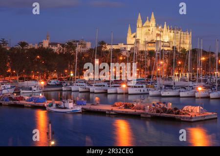 Cattedrale di Mallorca dal molo della Riba , 13th ° secolo, monumento storico-artistico, Palma, mallorca, isole baleari, spagna, europa. Foto Stock