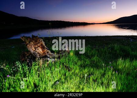 Embalse de Plasencia, Cáceres, Estremadura, Spagna, Europa. Foto Stock