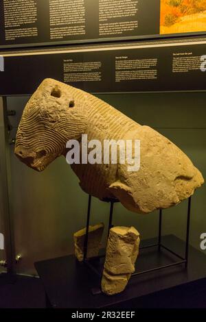 Toro del Parque, museo arqueologico y de Historia de Elche Alejandro Ramos Folqués, Elche, Alicante, Comunidad Valenciana, Spagna, Europa. Foto Stock