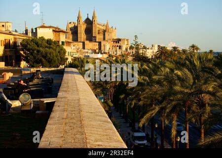 Catedral de Mallorca desde la terraza d' Es Baluard (Museu d'Art Moderne ho contemporani de Palma).Palma.Mallorca.Islas Baleares.España. Foto Stock