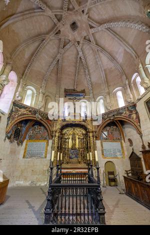 Capilla de San Salvador, Catedral de la Asunción de la Virgen, Salamanca, Comunidad Autónoma de Castilla y León, Spagna. Foto Stock
