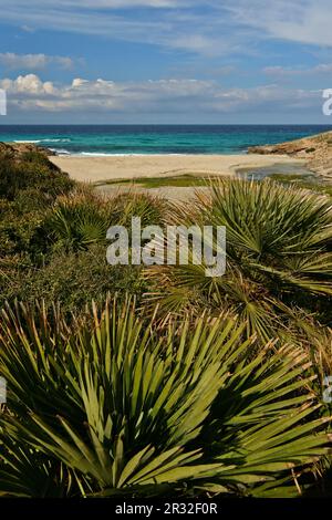 Sa Font Celada. Península de Llevant.Artà.Mallorca.Islas Baleares. España. Foto Stock