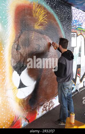 Londra, Inghilterra - 26 maggio 2013: Un giovane artista di graffiti spray sta dipingendo su una parete di cemento la testa di un leone; questo graffiti e altri sono sulla R Foto Stock