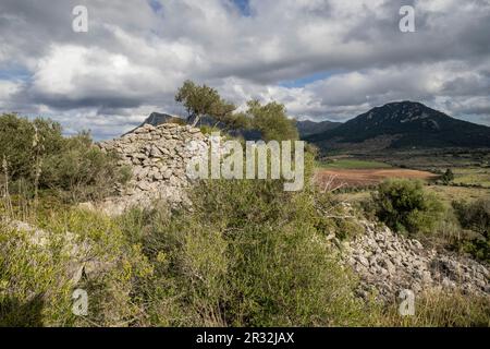 túmulo de Son Ferrandell-Son Oleza, i milenio a C., Valldemossa, Mallorca, Isole Baleari, spagna. Foto Stock