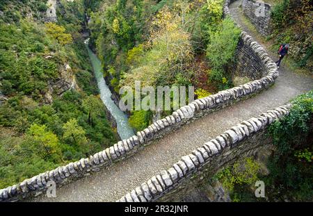 Puente romanico sobre el rio Bellós.Valle de Añisclo.Huesca.Cordillera pirenaica.España. Foto Stock