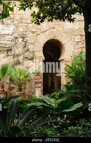 Bagni arabi, - Banys Àrabs - portale ad arco a ferro di cavallo, 10th ° secolo, Palma, Maiorca, isole baleari, spagna, europa. Foto Stock