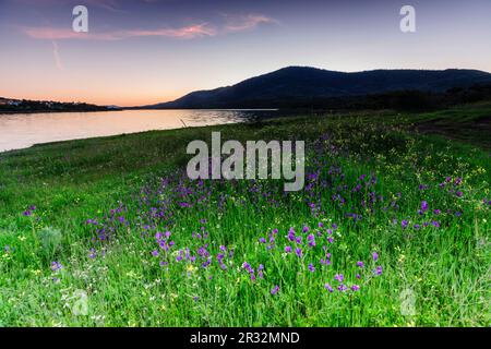 Embalse de Plasencia, Cáceres, Estremadura, Spagna, Europa. Foto Stock