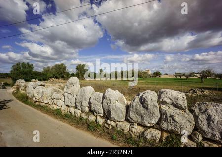 Muralla de Es Pou Celat, epoca talayotica (1300-123 a. C.) , ristoranti de onu antiguo poblado fortificado, Porreres, Comarca de Es Pla, Mallorca, Spagna. Foto Stock