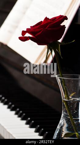 Tastiera per pianoforte e rosa Foto Stock