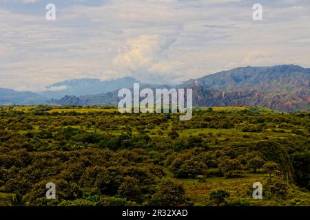 Hobo, fiume Magdalena, Colombia Foto Stock