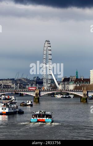 Jupiter Clipper River Bus sul Tamigi in avvicinamento a Lambeth Bridge, London Eye / Millennium Wheel sullo sfondo, Londra, Regno Unito Foto Stock