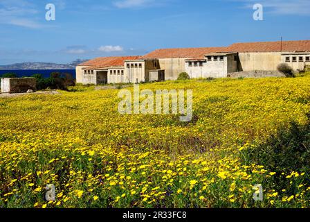 La prigione abbandonata di Trabucato nell'isola di Asinara Foto Stock