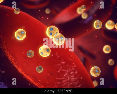 Particelle di lipoproteina ad alta densità (HDL) anche noto come colesterolo buono, nel sangue Foto Stock
