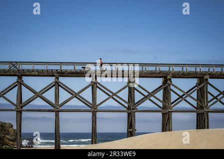 spiaggia e ponte al Trespolo di Pudding Creek Foto Stock