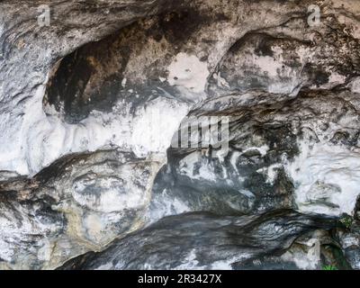 Le Grotte di Nuova Provvidenza le Bahamas Foto Stock