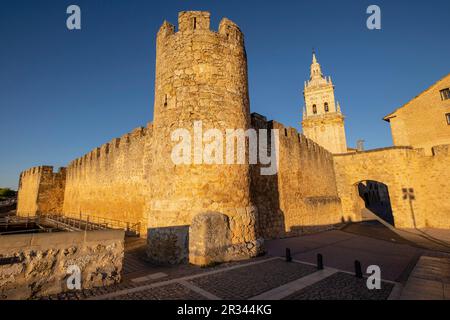 Murallas medievales, Puerta de San Miguel, El Burgo de Osma, Soria, Comunidad Autónoma de Castilla y León, Spagna, Europa. Foto Stock