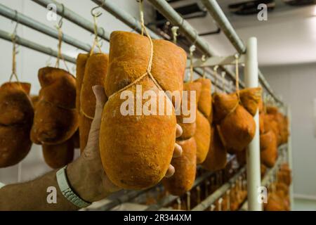 Sobrassada de menorca, fabricacion artesanall de enbutidos Binibeca de Jaume Pons - finca Alcaiduset, Alaior, Menorca, Isole Balneari, España, europa. Foto Stock