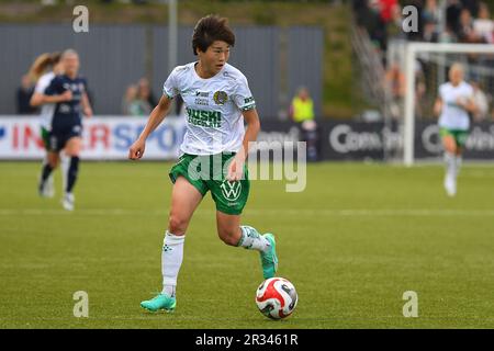 Stoccolma, Svezia. 22nd maggio, 2023. Stoccolma, Svezia, 22nd 2023 maggio: Maika Hamano (14 Hammarby) nel gioco della Lega svedese OBOS Damallsvenskan il 22nd 2023 maggio tra Hammarby IF e FC Rosengard a Hammarby IP a Stoccolma, Svezia (Peter Sonander/SPP) Credit: SPP Sport Press Photo. /Alamy Live News Foto Stock