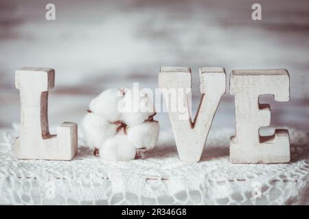 Amore lettere in legno Foto Stock