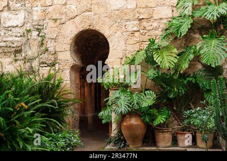 Bagni arabi, - Banys Àrabs - portale ad arco a ferro di cavallo, 10th ° secolo, Palma, Maiorca, isole baleari, spagna, europa. Foto Stock