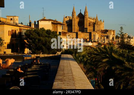 Catedral de Mallorca desde la terraza d' Es Baluard (Museu d'Art Moderne ho contemporani de Palma).Palma.Mallorca.Islas Baleares.España. Foto Stock