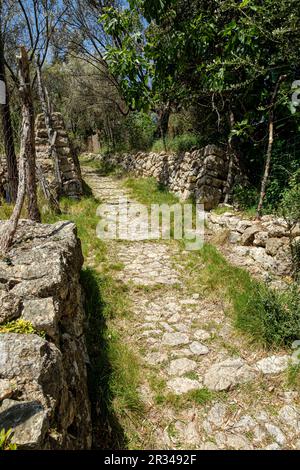 Camí des Monts-reials, valle de Soller Maiorca, isole Baleari, Spagna. Foto Stock