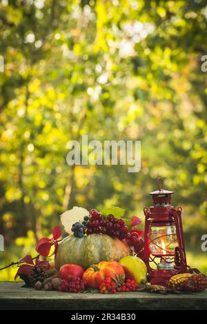 Autunno accogliente Foto Stock